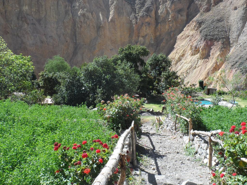 Oasis Paraiso Ecolodge Cabanaconde Dış mekan fotoğraf