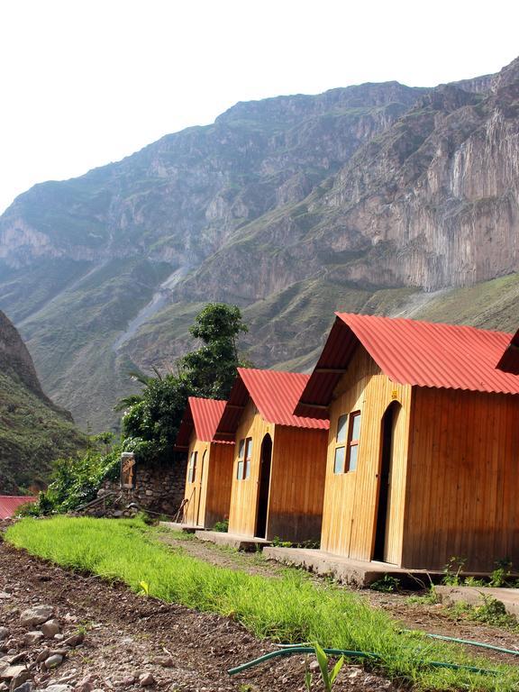 Oasis Paraiso Ecolodge Cabanaconde Dış mekan fotoğraf