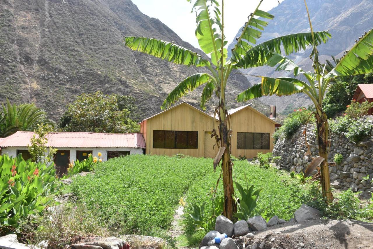 Oasis Paraiso Ecolodge Cabanaconde Dış mekan fotoğraf