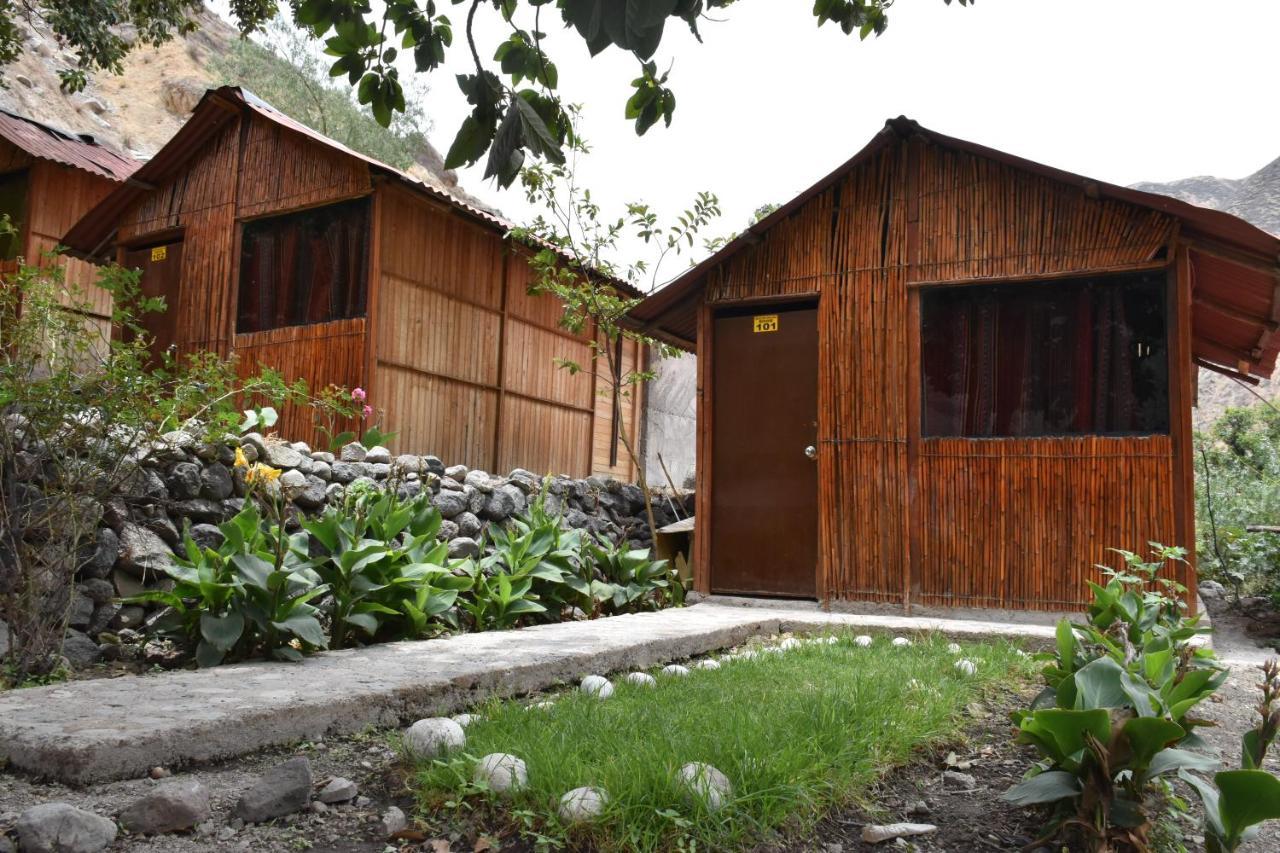 Oasis Paraiso Ecolodge Cabanaconde Dış mekan fotoğraf