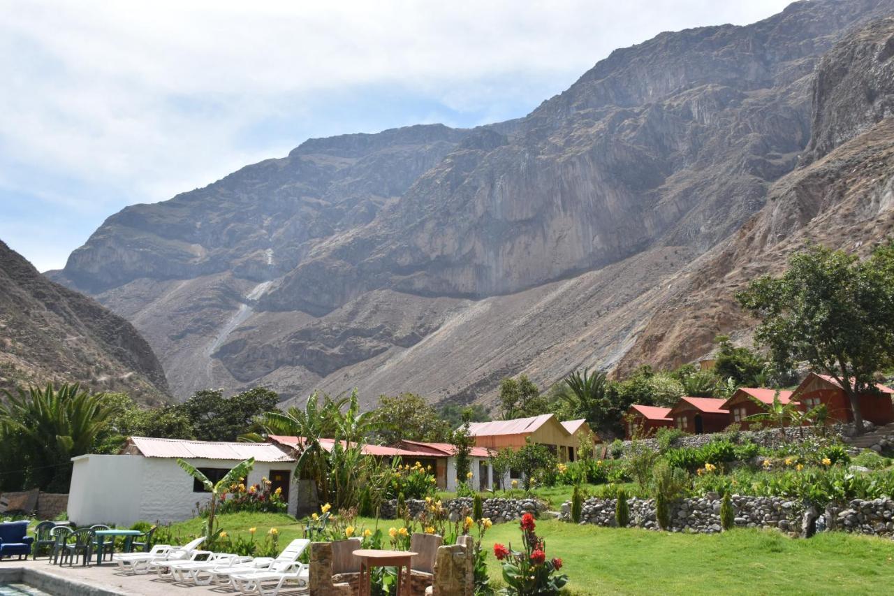 Oasis Paraiso Ecolodge Cabanaconde Dış mekan fotoğraf